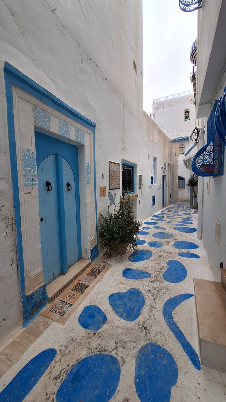 Charming blue-and-white alley with arched doors and patterned cobblestones in Sidi Bou Said.