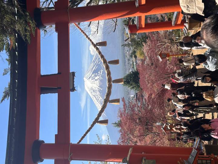 Snow-capped Mount Fuji perfectly framed beneath a red Shinto torii with spring blossoms and tourists below.
