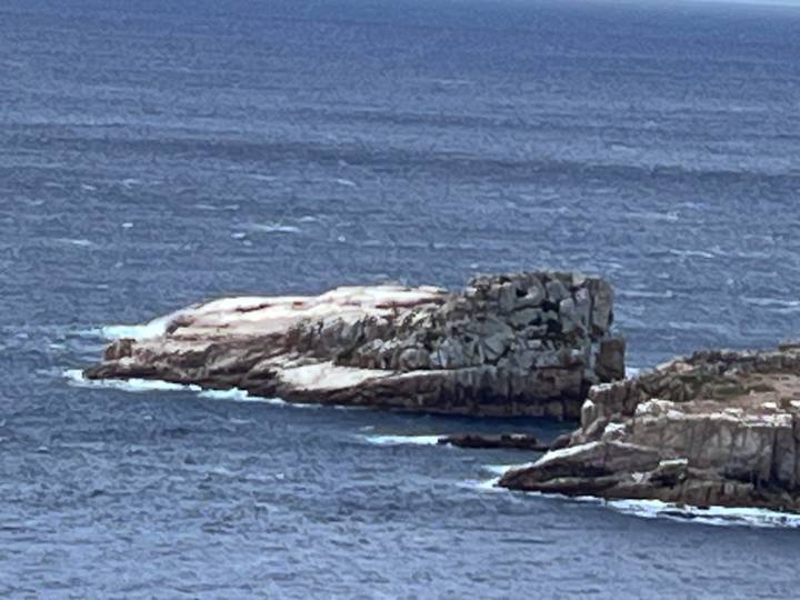 Zoomed view of a rugged offshore rock formation surrounded by deep blue ocean waves.