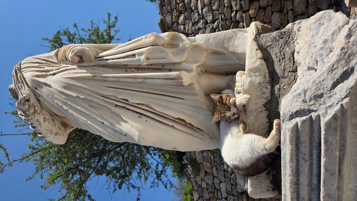 A relaxed cat lounges at the base of an ancient headless marble statue amid sunny ruins.