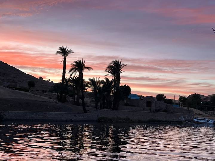Palm silhouettes and pastel clouds reflect on calm Nile waters during a colorful sunset.