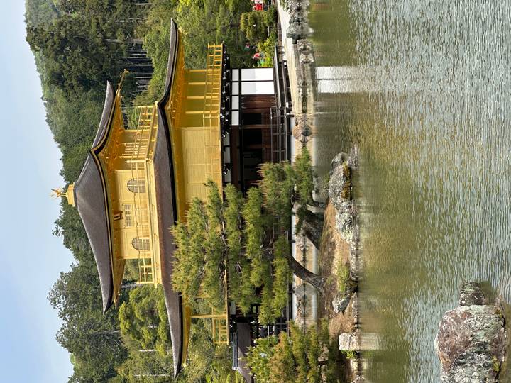 Golden Pavilion temple glimmers beside tranquil pond surrounded by pines.