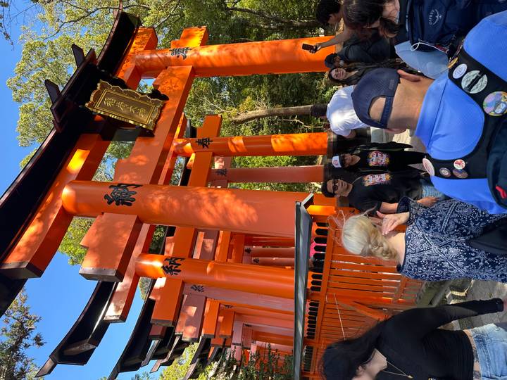 Visitors pass beneath vivid vermilion torii gates of a forest shrine path.