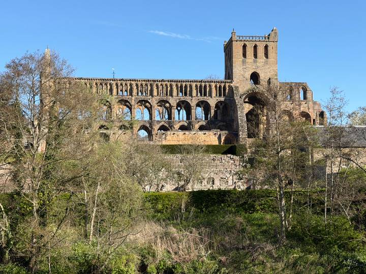 Ruins of a medieval abbey with tall arches rising above woodland in late afternoon light.