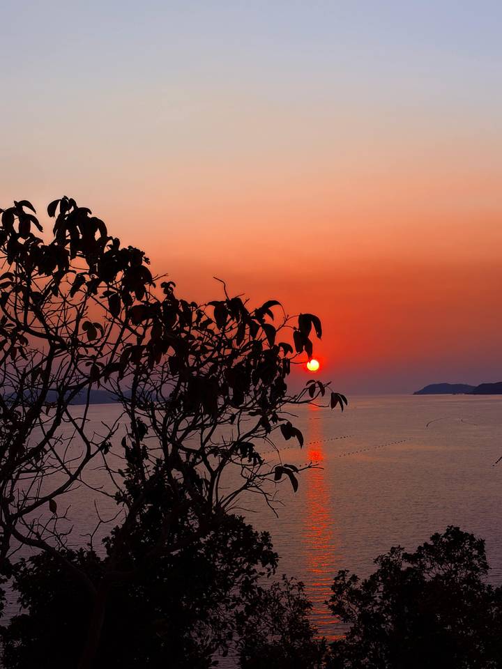 Brilliant orange sun sets over calm sea with tree silhouette in the foreground.