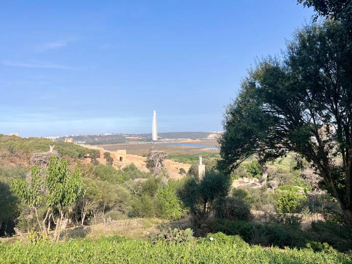 Forested hillside opens to a view of the sleek Mohammed VI Tower and blue lagoon beyond.