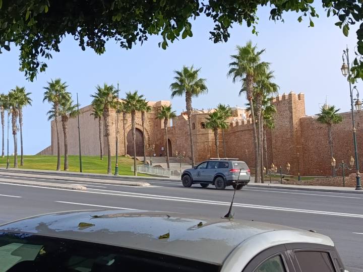 A walled fortress with palm-lined lawn viewed across a quiet boulevard.