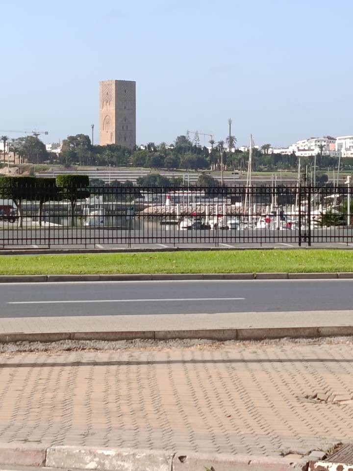 Marina with moored boats seen through a black metal fence beside a roadway.