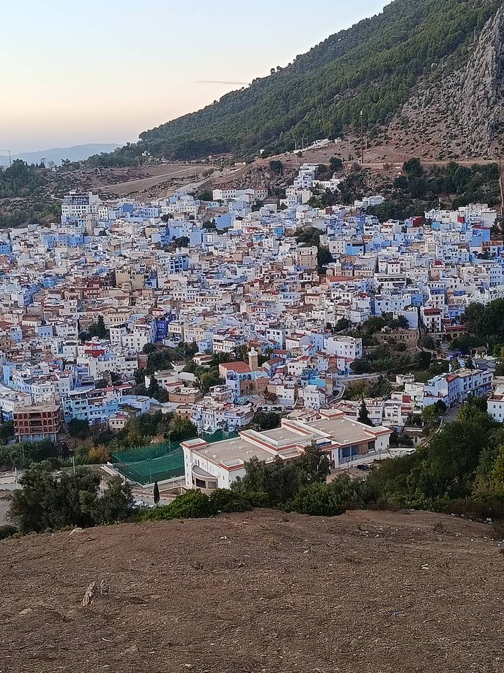 Panoramic view of a densely packed hillside city with characteristic blue and white houses.