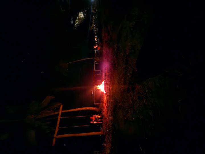 Nighttime beach scene with a campfire glowing beneath palm silhouettes and starry sky.
