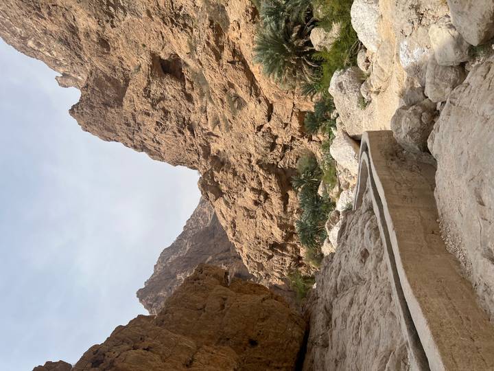 Rocky gorge with palm groves and an ancient falaj water channel cutting through the wadi.