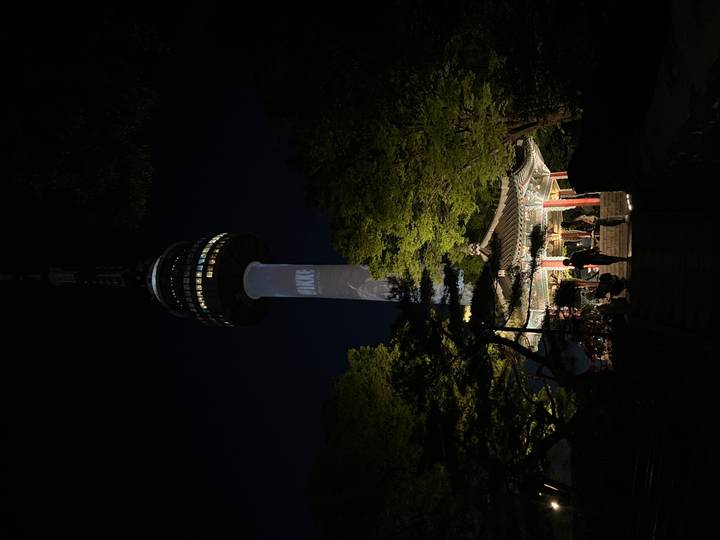 N Seoul Tower illuminated against the night sky above a lit pavilion and surrounding trees.