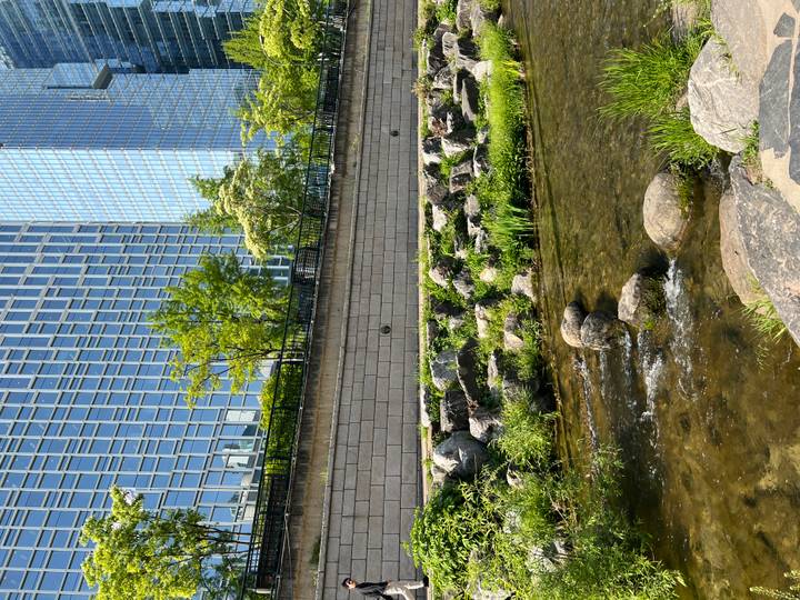 Urban creek with stepping stones and greenery in front of tall glass office buildings.