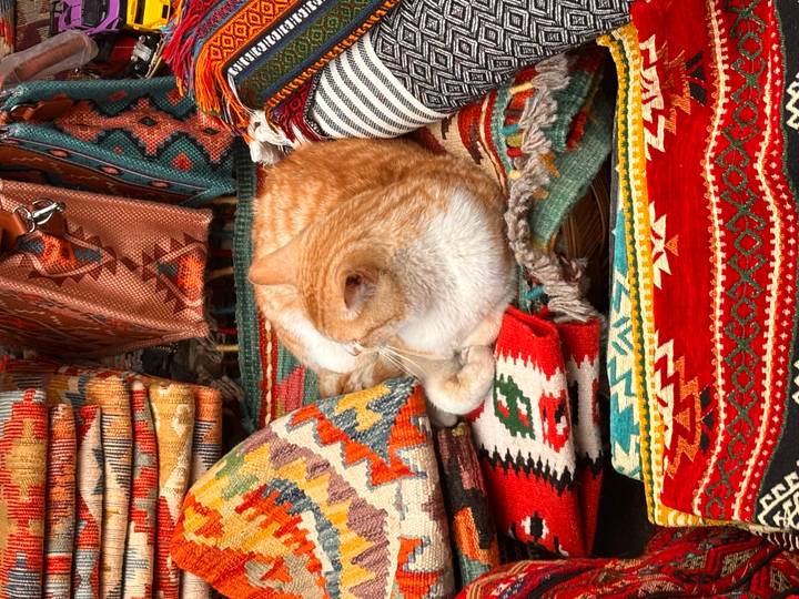 Orange cat curled up on a stack of colorful woven carpets in a market stall.
