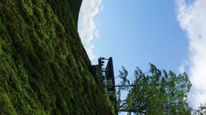 A modern glass café perches on a lush tea-covered hillside beneath a bright sky.