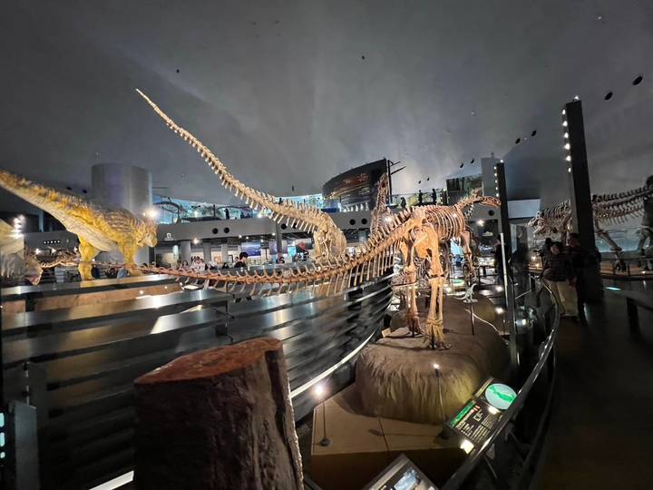 Indoor museum exhibit with large dinosaur skeletons displayed under dramatic lighting.