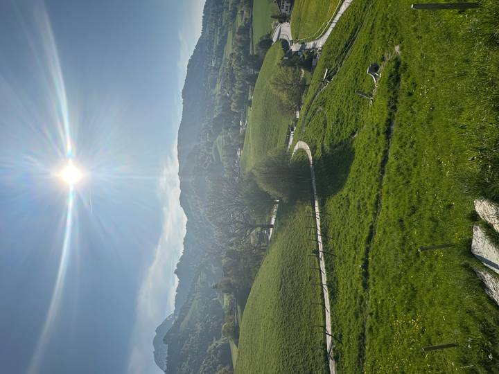 Rolling green pastures under a bright afternoon sun with mountains on the horizon.
