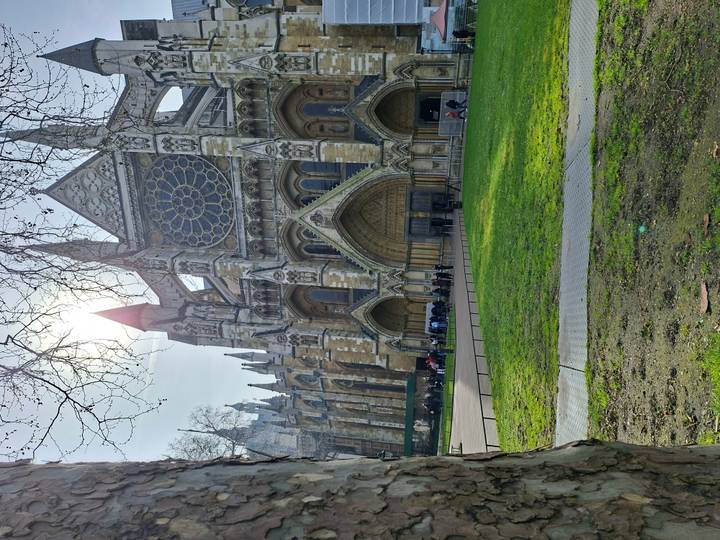 Gothic façade of Westminster Abbey with sun shining through branches and visitors lining up