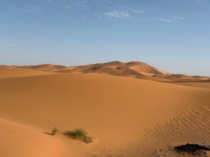 Vast golden sand dunes under a clear blue sky in the Sahara desert.