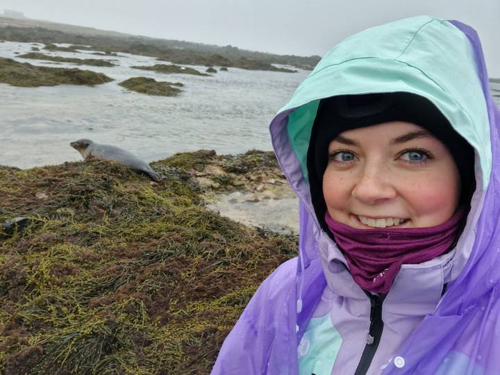 Rain-jacketed traveler takes a selfie beside a curious seal resting on seaweed-covered rocks by the shore.