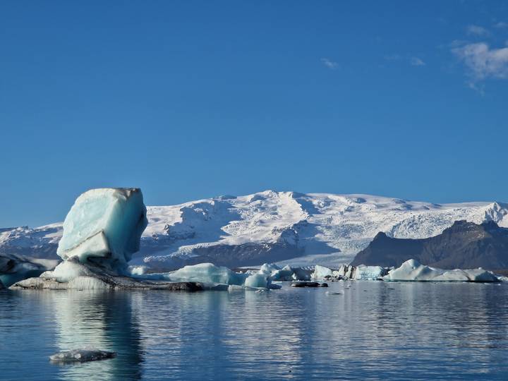 Blue icebergs drift on a placid lagoon with a snow-covered glacier and clear sky behind.