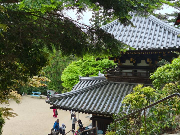 Traditional Japanese temple roof peeks through lush forest foliage on a hillside path.