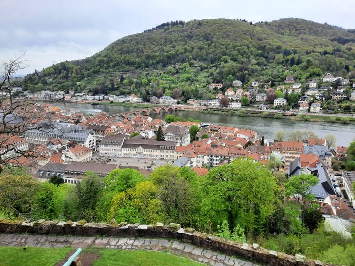 Panoramic view over Heidelberg’s red-roofed old town, historic bridge and wooded hills across the Neckar River.