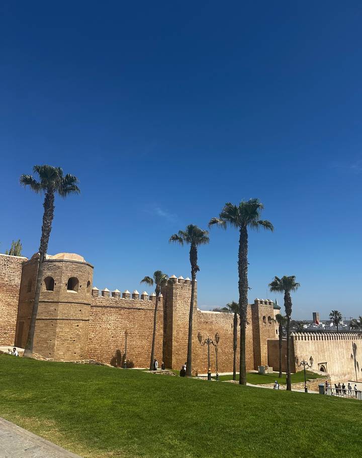 Tall palm trees line the ramparts of a sandy-stone coastal fortress under a bright blue sky.