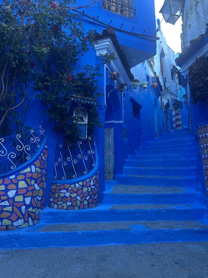 Vibrant blue-painted alleyway with decorative railings, stairs and potted plants in Chefchaouen.