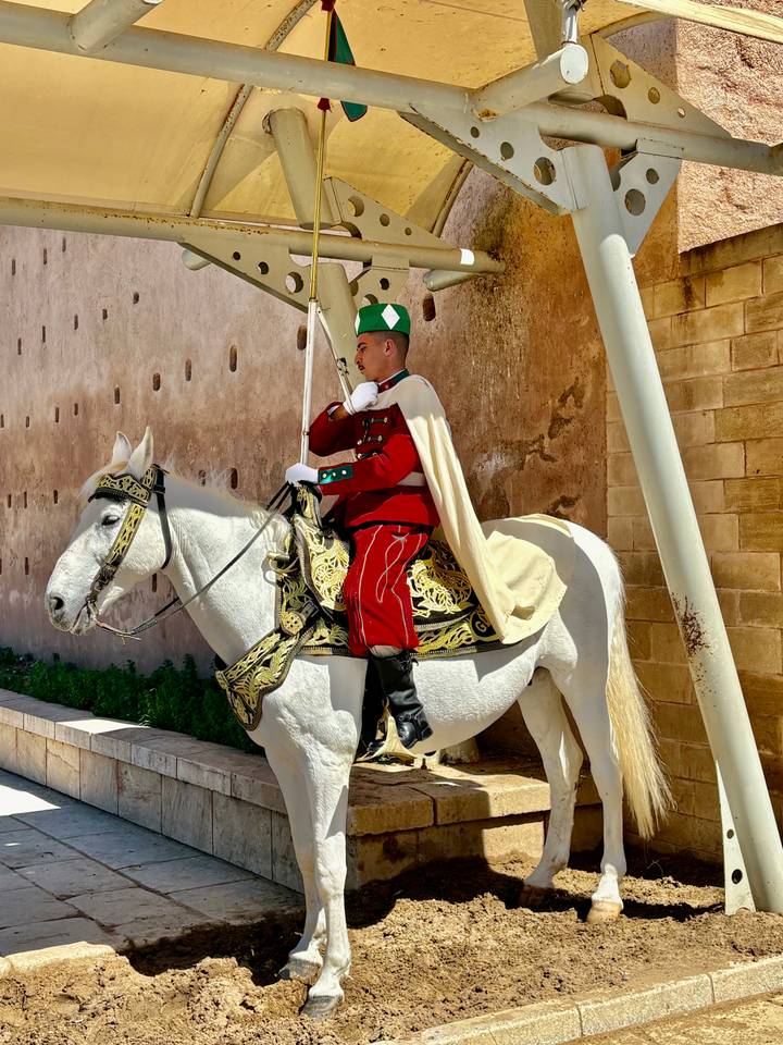 Mounted royal guard in ornate red uniform on a white horse beside palace walls