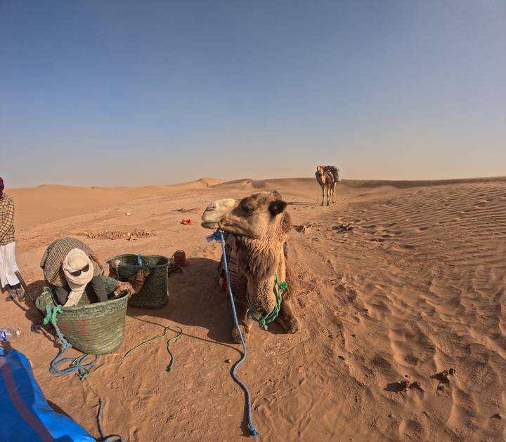 Close-up of a saddled camel resting on sandy dunes with another camel and rider in the background.