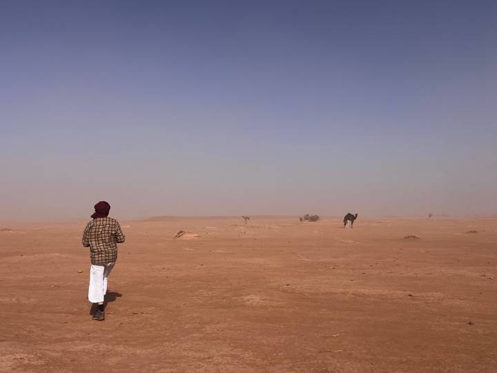 Traveler walks across a wide, hazy desert plain toward distant camels under a pale sky.