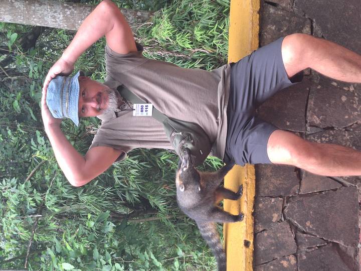 Man reacts playfully while a coati sniffs his sling bag on a forested walkway