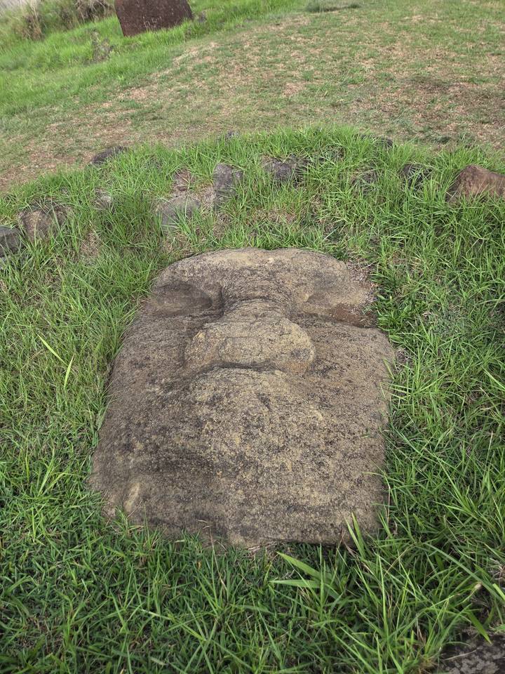 Close-up of a fallen Moai head lying on grassy ground showing carved facial features