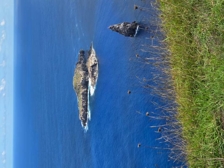 Deep blue ocean surrounds small rocky islets viewed from high grassy cliff