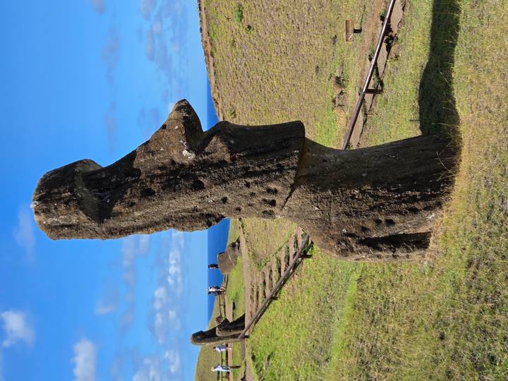 Profile view of weathered Moai statue on grassy hillside overlooking the sea