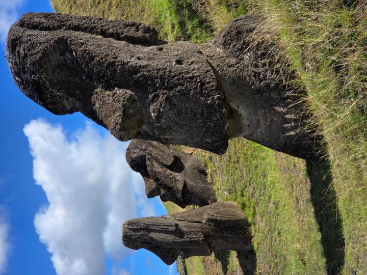 Side view of several Moai statues lined up on grassy slope under blue sky and clouds