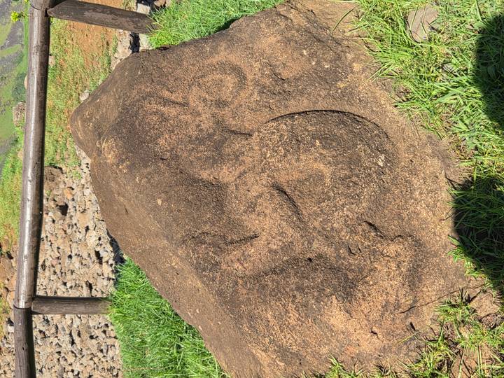 Rock with faint petroglyph engravings surrounded by grass and a wooden fence