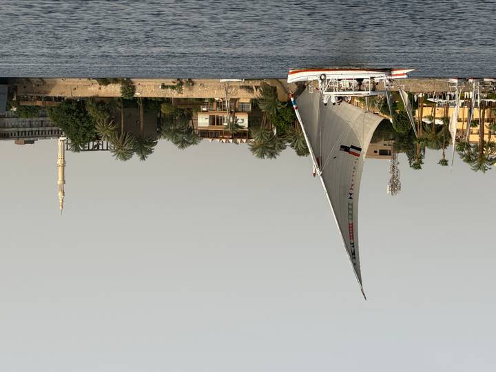 Traditional felucca sailboat glides on the Nile River with palm-lined riverside buildings in the background.