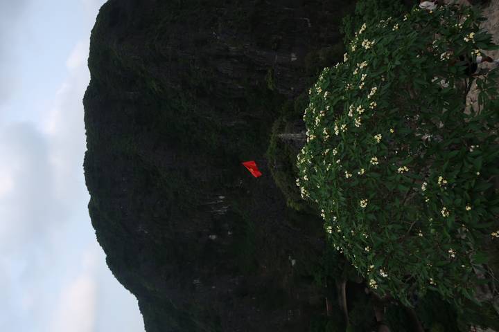 Red flag atop hill rises beyond flowering bush with dark karst cliffs behind.