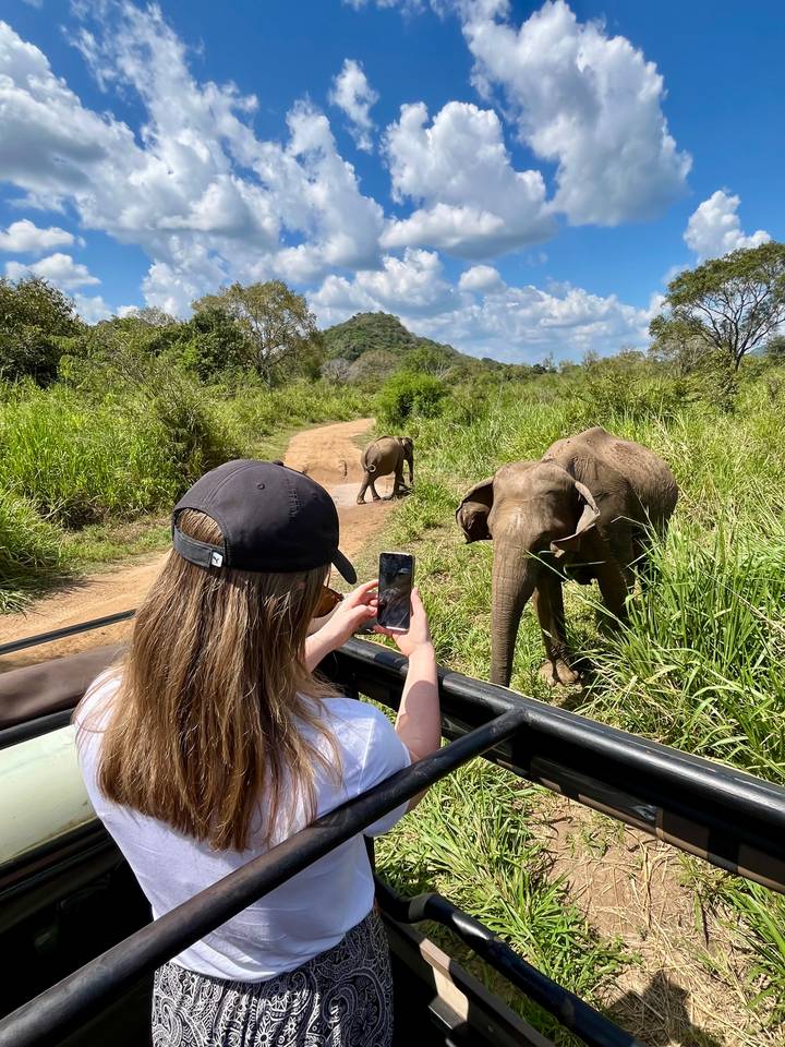 Traveler photographs wild elephants grazing beside safari track amid tall grass.