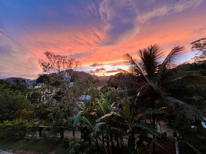 Vibrant tropical sunset over jungle foliage and silhouetted palms.