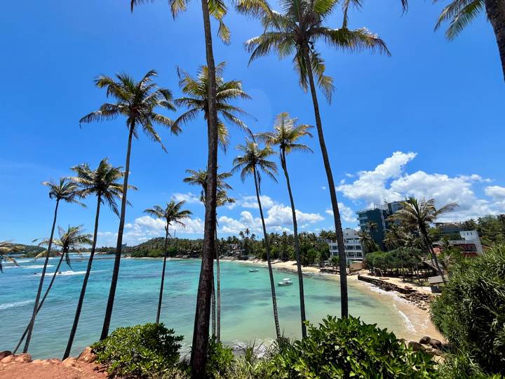 Tropical coastline with slender palms overlooking clear turquoise water on a sunny day.
