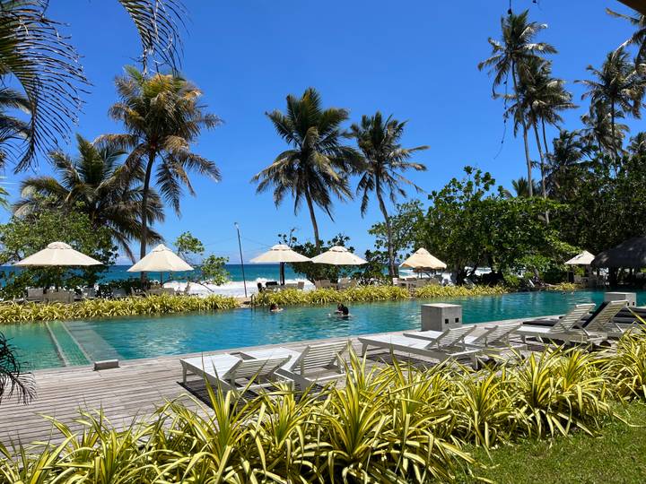 Beachfront infinity pool lined with loungers and umbrellas under swaying palms.