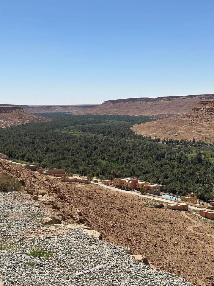 Expansive desert valley filled with a lush green palm oasis and scattered tan buildings between rocky hills.