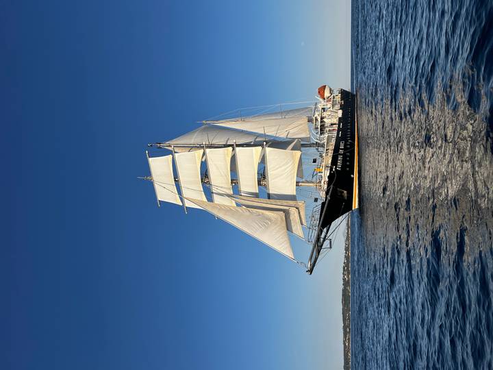 Tall ship on shimmering water with low coastline in background