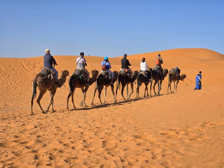 Caravan of tourists on camels traverses soft orange sand with guide in blue robe leading.