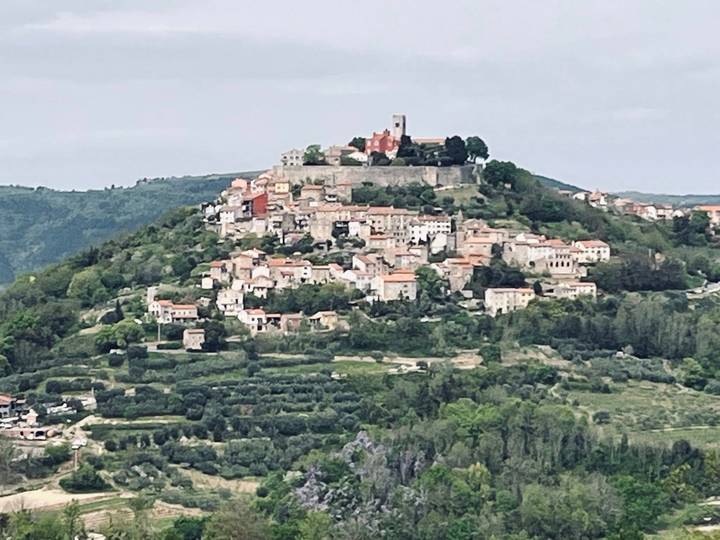 Hill-top medieval town of Motovun rising above rolling green Istrian countryside.