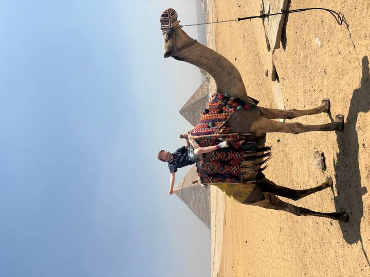 Traveller atop a decorated camel with the Pyramids of Giza rising from the desert behind.