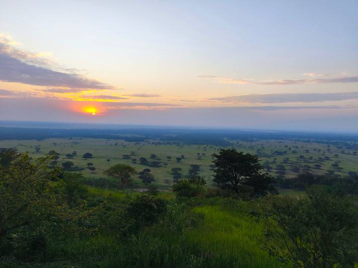 Golden sunrise breaking over a vast savanna dotted with acacia trees and distant haze.